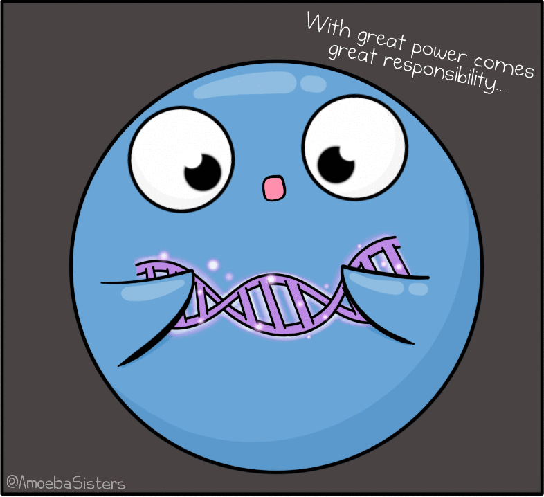 Tutorial básico con SeqBreed